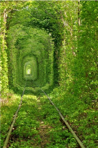 Train Tree Tunnel, Ukraine