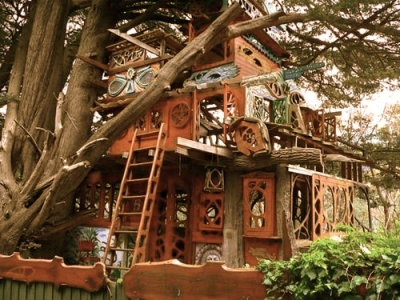 Tree House, Sonoma, California