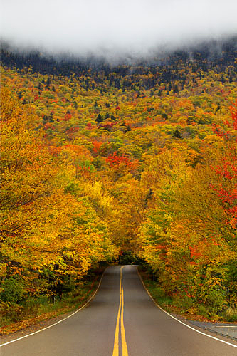 Autumn tree tunnel, Smuggler’s Notch State Park, Vermont