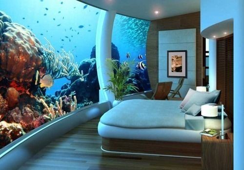 Bedroom Aquarium, Seattle, Washington
