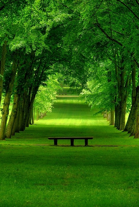 Lush Green Park, Chamrande, France