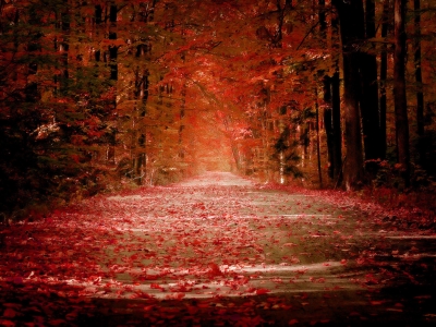 Red autumn