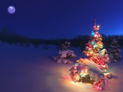 Christmas in Alberta, Canada