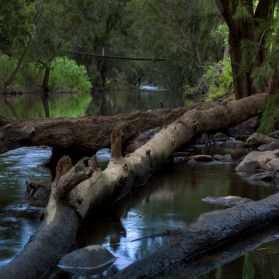 Swinging Bridge, Goodradigbee River Valley, New South Wales, Australia