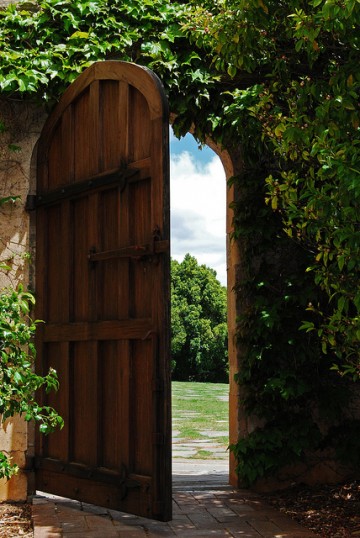 The wooden door