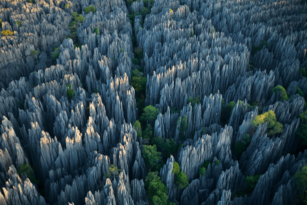 Tsingy Stone Forest, Madagascar