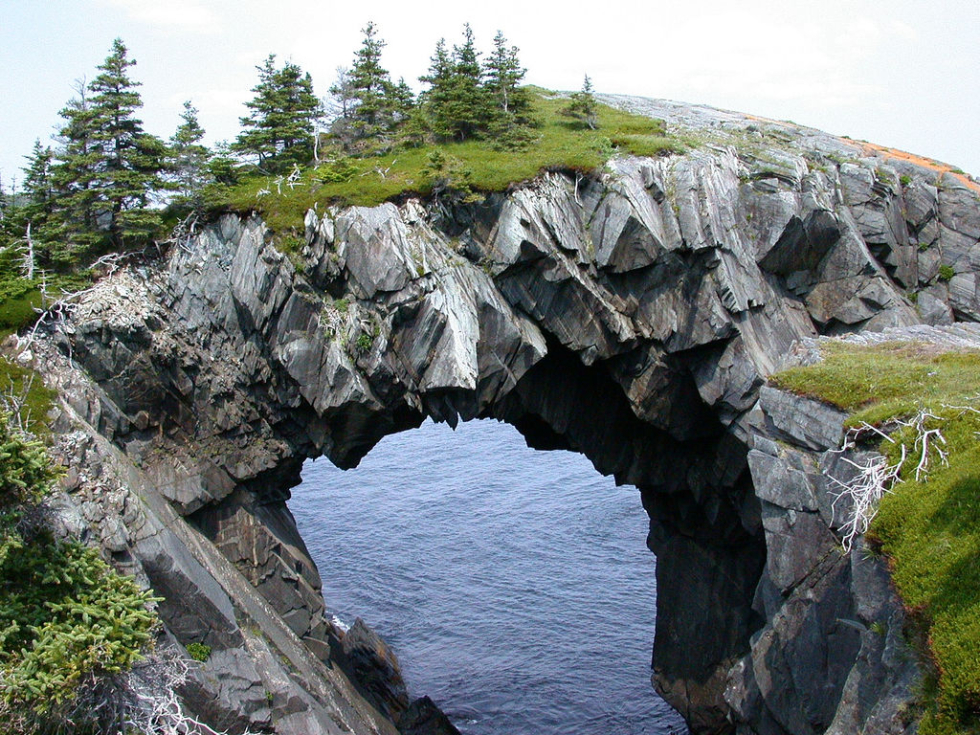 Berry Head, Avalon Peninsula, Newfoundland