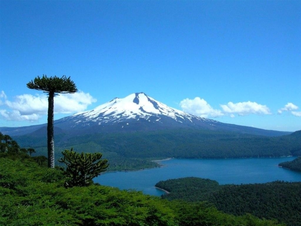 Llaima Volcano, Chile