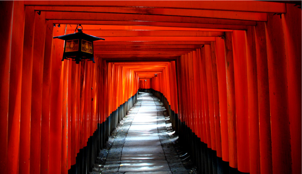 The Kyoto Torii tunnel, Japan