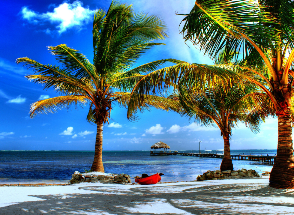 Kayak under palm, Belize