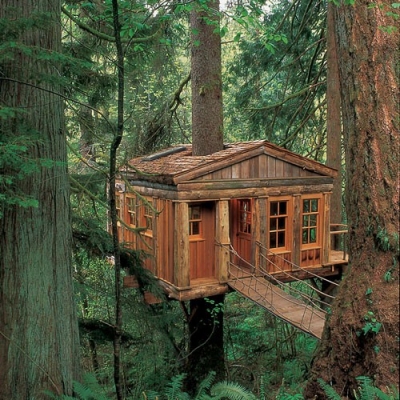 A tree house for the big kids