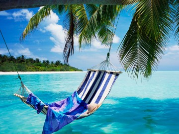 Beach hammock
