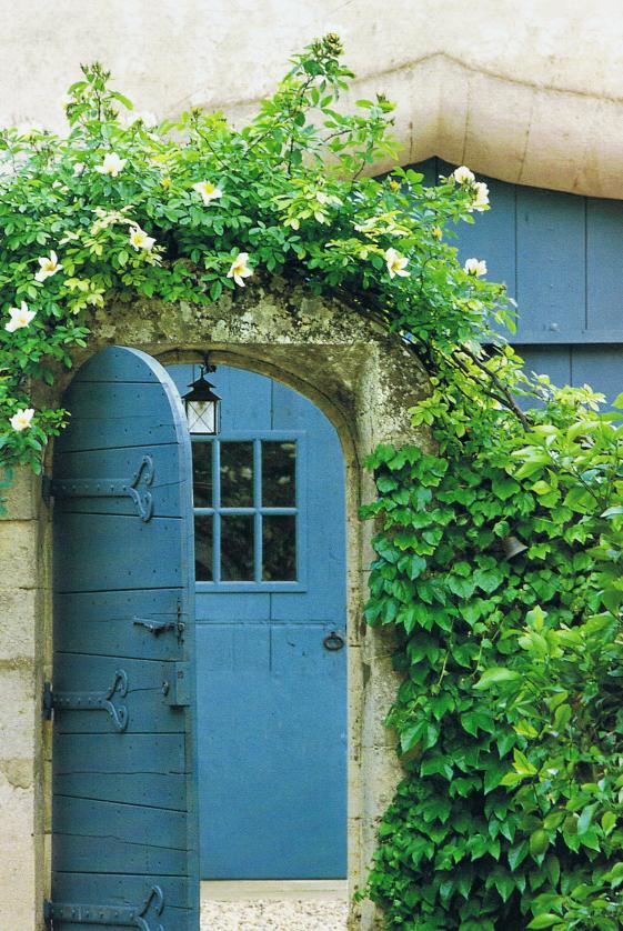 Blue doors. Camarque countryside, Southern France