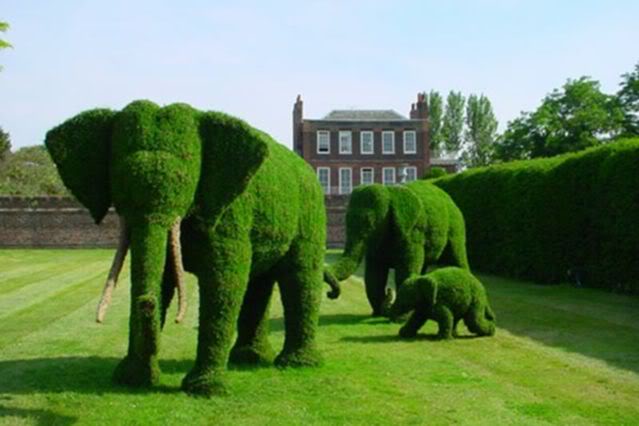 Elephant Garden