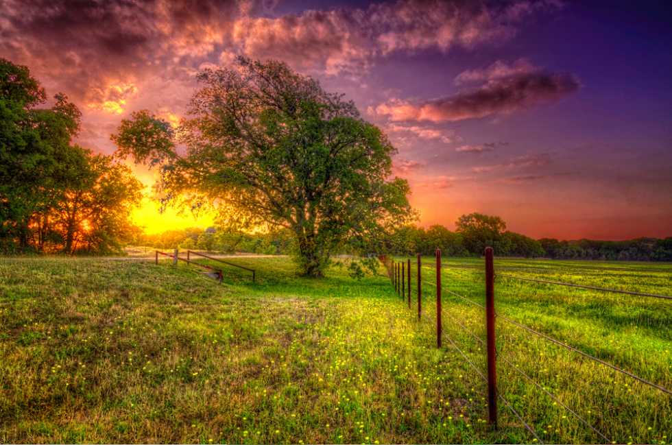 Pearl Ranch at sunset, Wheatland, Texas