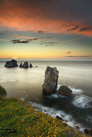 Spring on the seashore