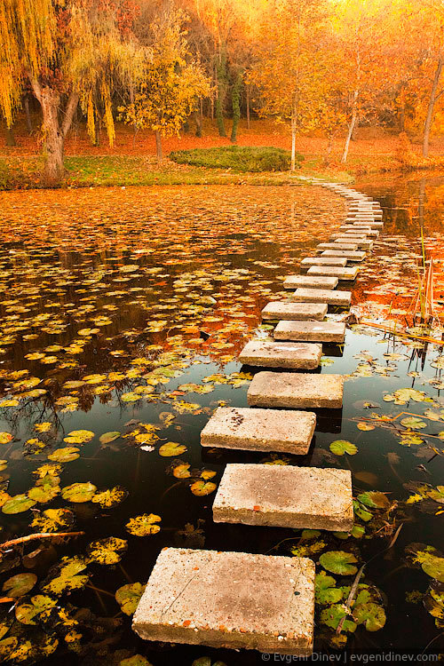 Autumn walkway, Poland