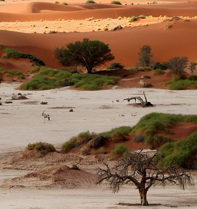 Sossusvlei, Namibia
