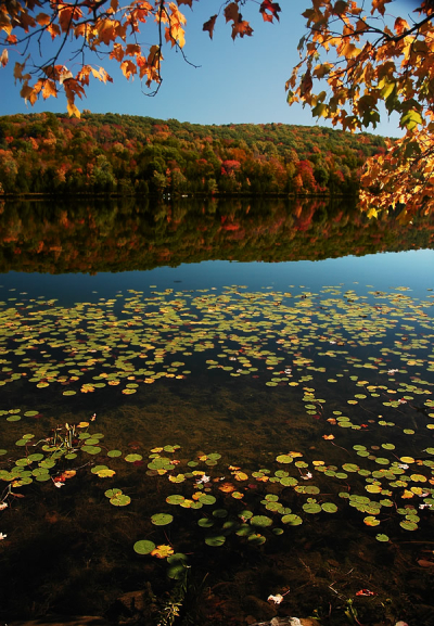 Lake Mohawk, Kittatinny Valley State Park, New Jersey
