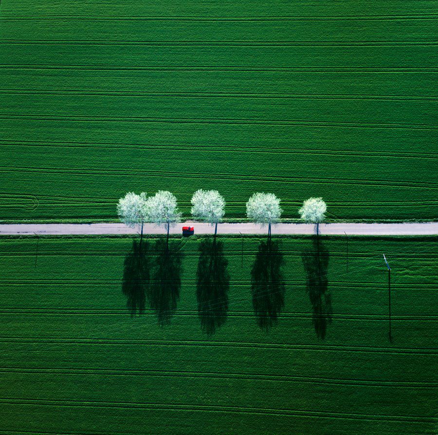 Aerial view of a road through the green fields, Germany