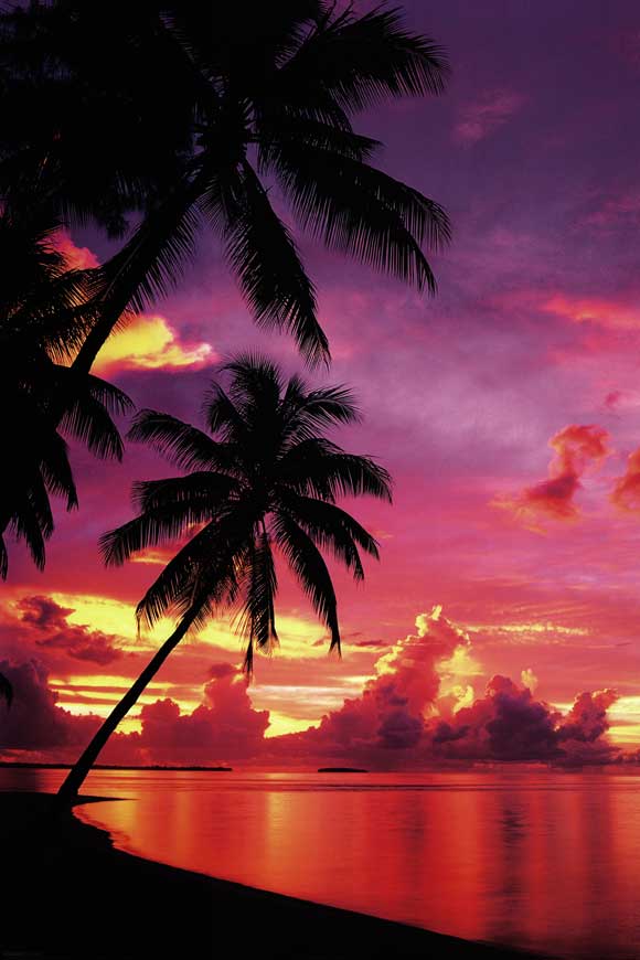 Tahitian beach sunset