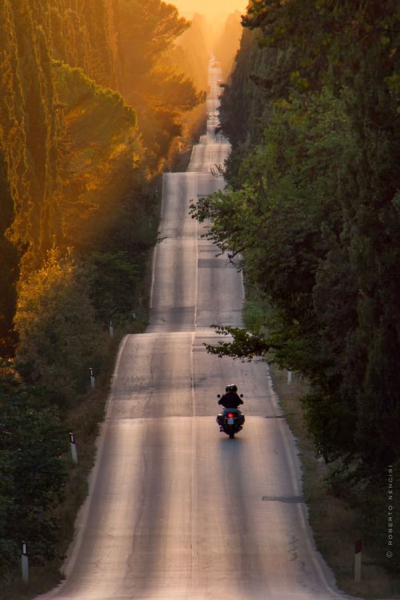 Road in Bolgheri, Italy