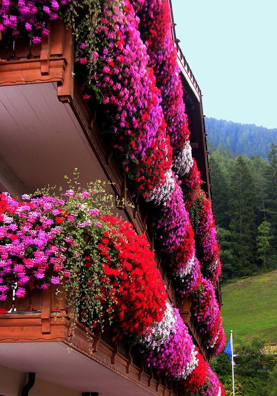 Flower balconies in Trentino, South Tyrol, Italy