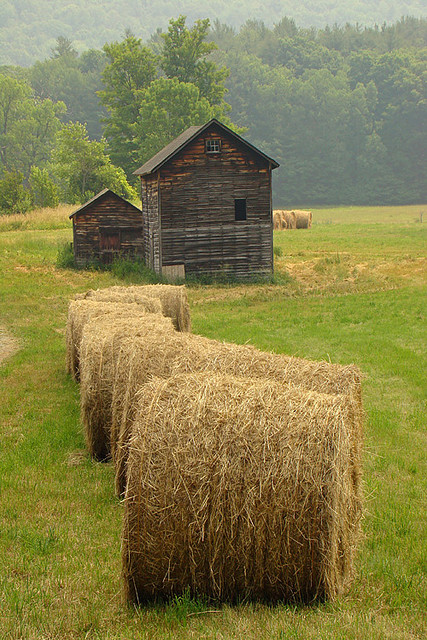 Hay bales and old barns, Massachusetts