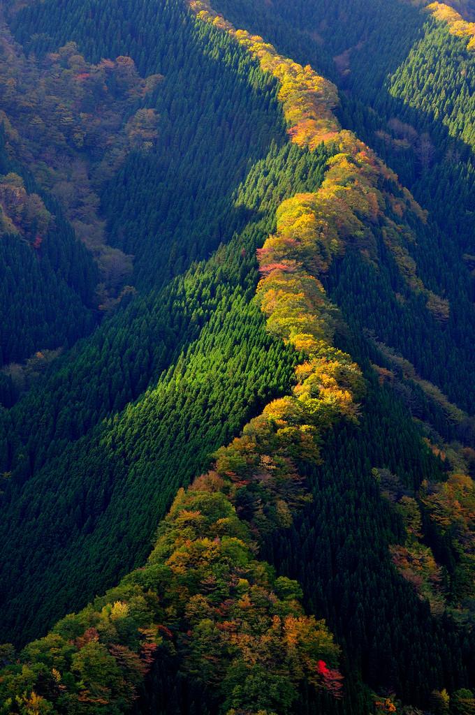 Namego Valley, Tenkawa Mountain, Japan