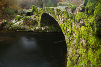 Roman stone bridge covered by green moss, Sezelhe, Portugal