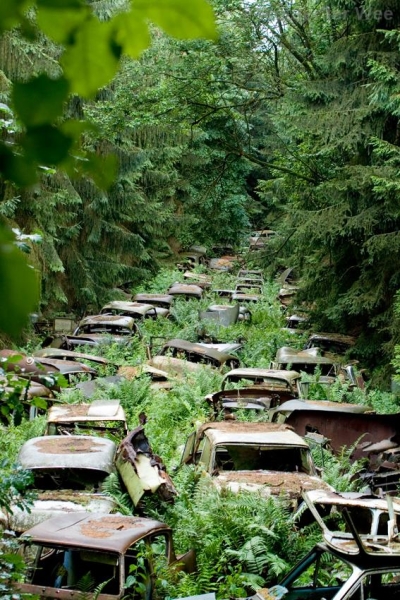 Ardennes Forest cars, Belgium