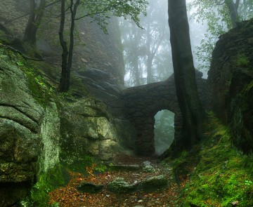 Castle Portal, Poland