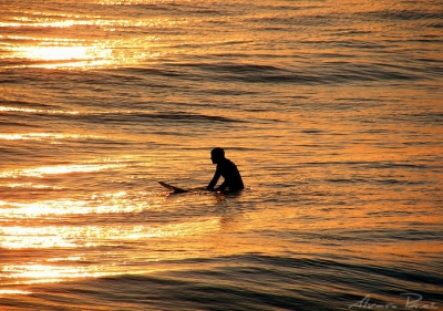 The sun surfer