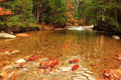 Autumn in New Hampshire, USA