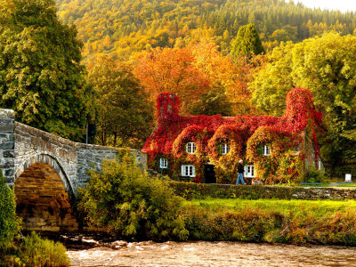 Autumn in Wales