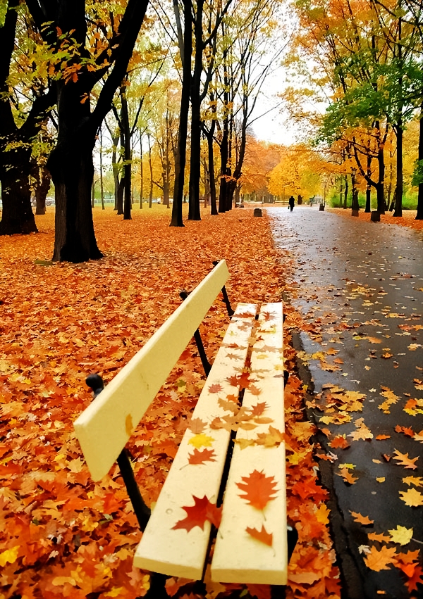 Autumn in Warsaw, Poland