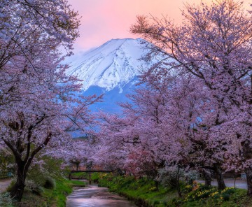 Beautiful Sunset at Mount Fuji on Honshu Island, Japan