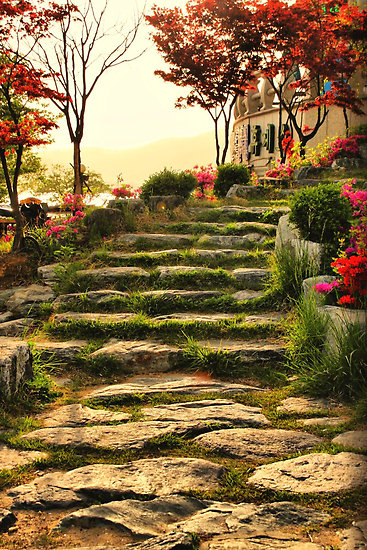 Stone Pathway, Bomunho Lake, South Korea