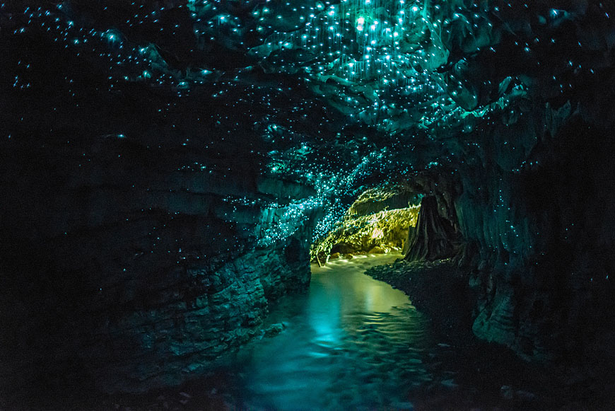 Waitomo Glow Worm Caves, New Zealand