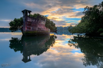 A 102-Year-Old Transport Ship Sprouts a Floating Forest