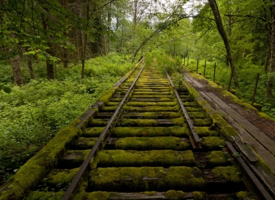 Abandoned Rail, Snoqualmie, Washington