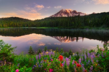 Mount Rainier, Washington