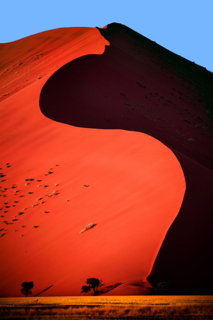 Dune 45, Namibian Desert