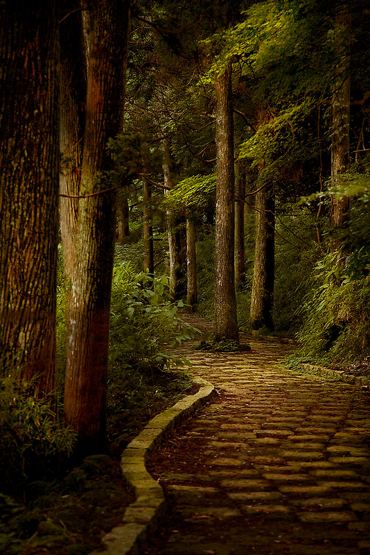 Cobblestone path, Hakone, Kanagawa, Japan