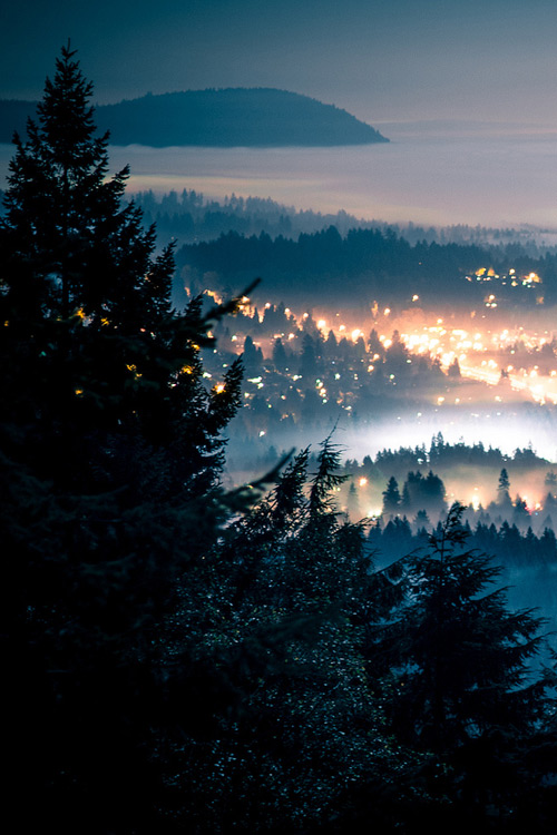 Foggy Night, Seattle, Washington