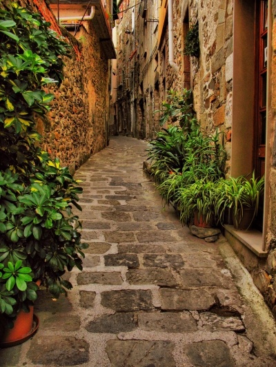 Narrow Street, Liguria, Italy