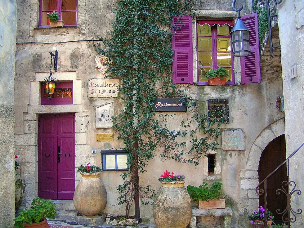 Purple accent in Provence, France