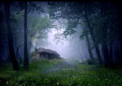 Cottage In The Woods, Scotland