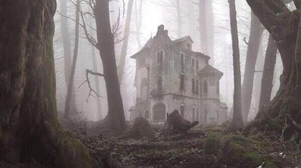 Abandoned House in the Woods