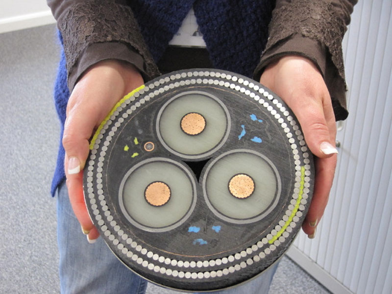 A cross-section of an undersea cable